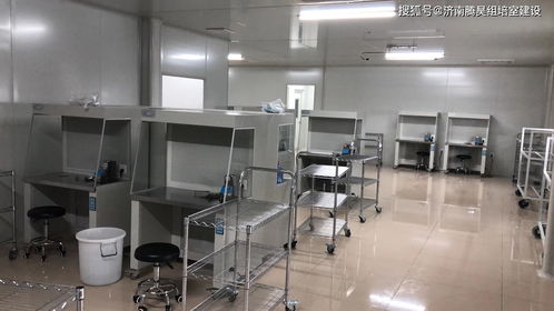 广州与湛江组培室建设与维护全攻略